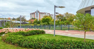 Профессиональное озеленение улиц в Ленинске-Кузнецком в октябре
