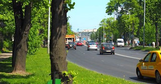Посадка деревьев и кустарников в Ленинске-Кузнецком — стоимость от 1227 руб.